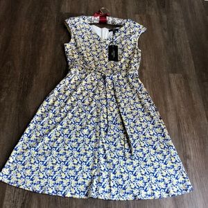 MaxMara weekend cotton dress.